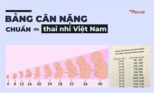 Bảng Tiêu Chuẩn Cân Nặng Thai Nhi Theo Tuần Tuổi