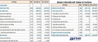 Báo Cáo Tài Chính Sabibeco 2022