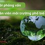 Những Câu Hỏi Phỏng Vấn Trường Senmon