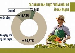 Quy Mô Thị Trường Thực Phẩm Hữu Cơ Việt Nam