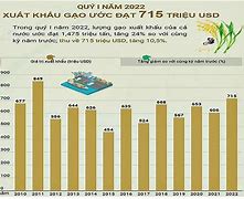 Xuất Khẩu Lúa Gạo Việt Nam Đứng Thứ May